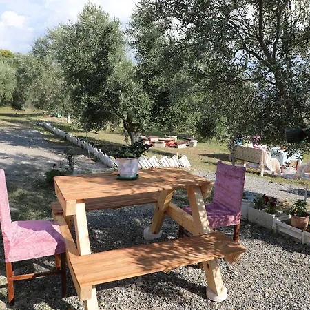 Leko House Perondi * Kuçovë